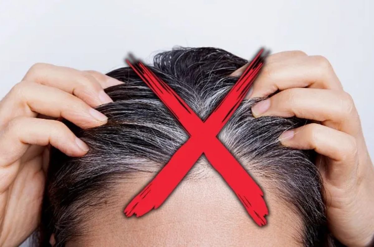 fin de las canas sin tinte