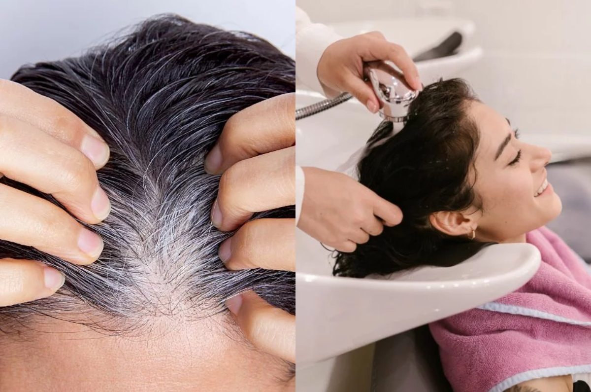 fin de las canas sin tinte