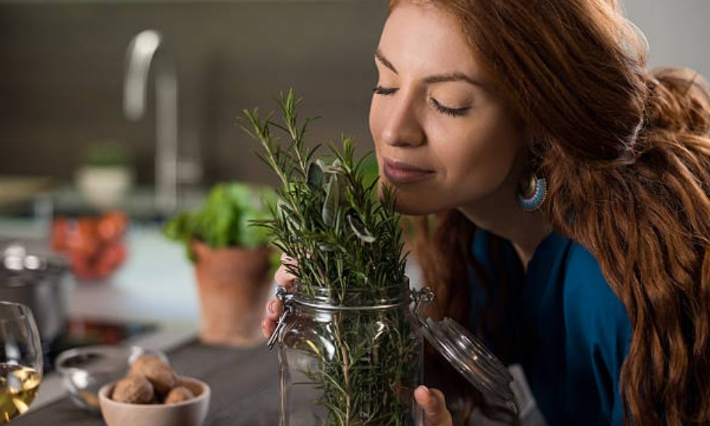 Propiedades antimicrobianas del romero