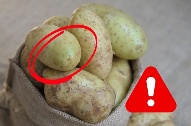 Por qué algunas papas tienen cáscara verde y cuáles son los riesgos de consumirlas
