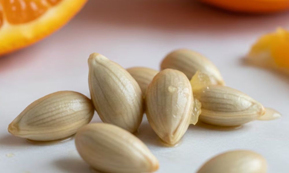 Semillas de naranja beneficios