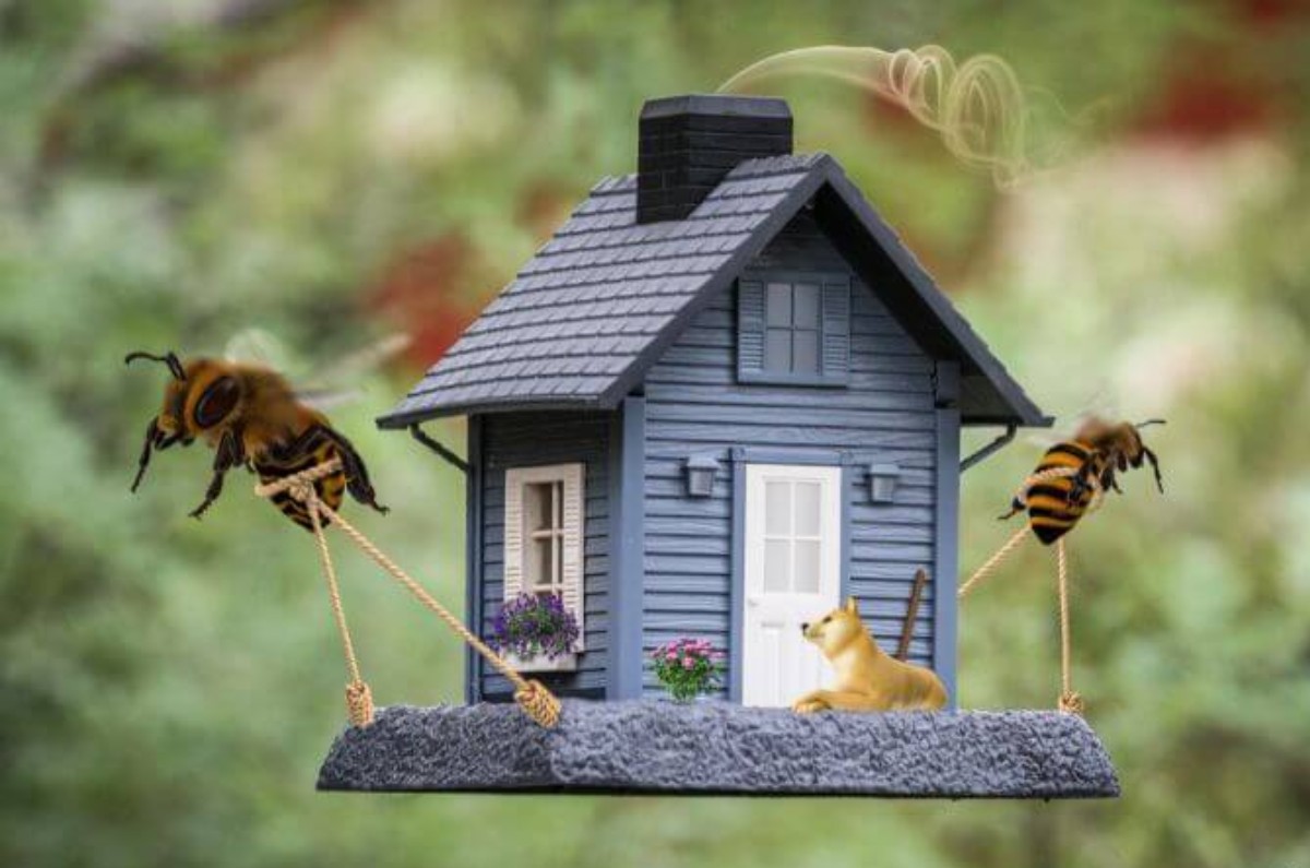 significado de abeja en casa