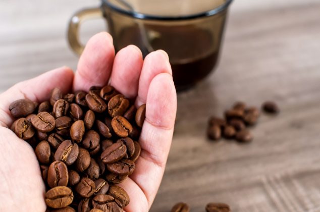 De la Selva a tu Taza: Descubriendo los Matices del Grano Nacional