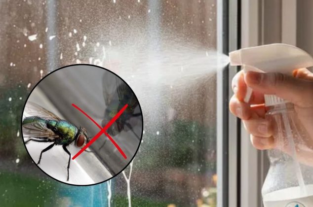 5 maneras efectivas de rociar vinagre en las ventanas para alejar a las moscas de tu casa
