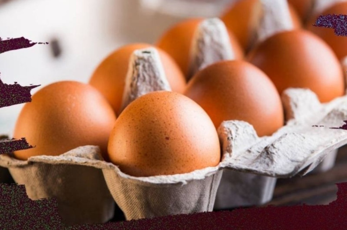 precios reales del huevo en México