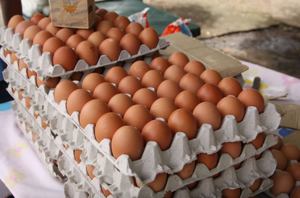 precios reales del huevo en México