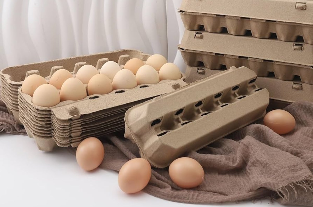 precios reales del huevo en México