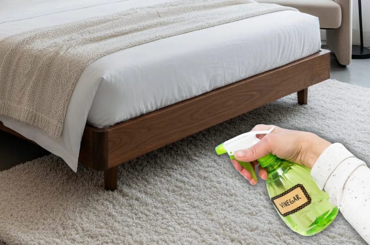 rociar vinagre sobre la cama