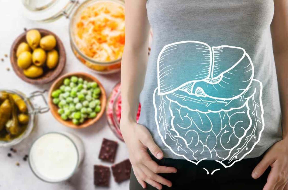 alimentos con más probióticos