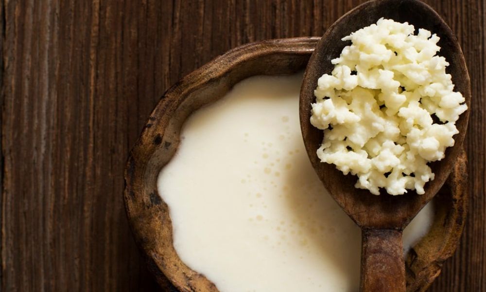 búlgaros de leche en perros