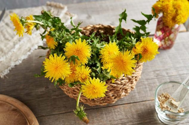Esta es la planta que necesitas en tu cocina para atraer buena energía y abundancia