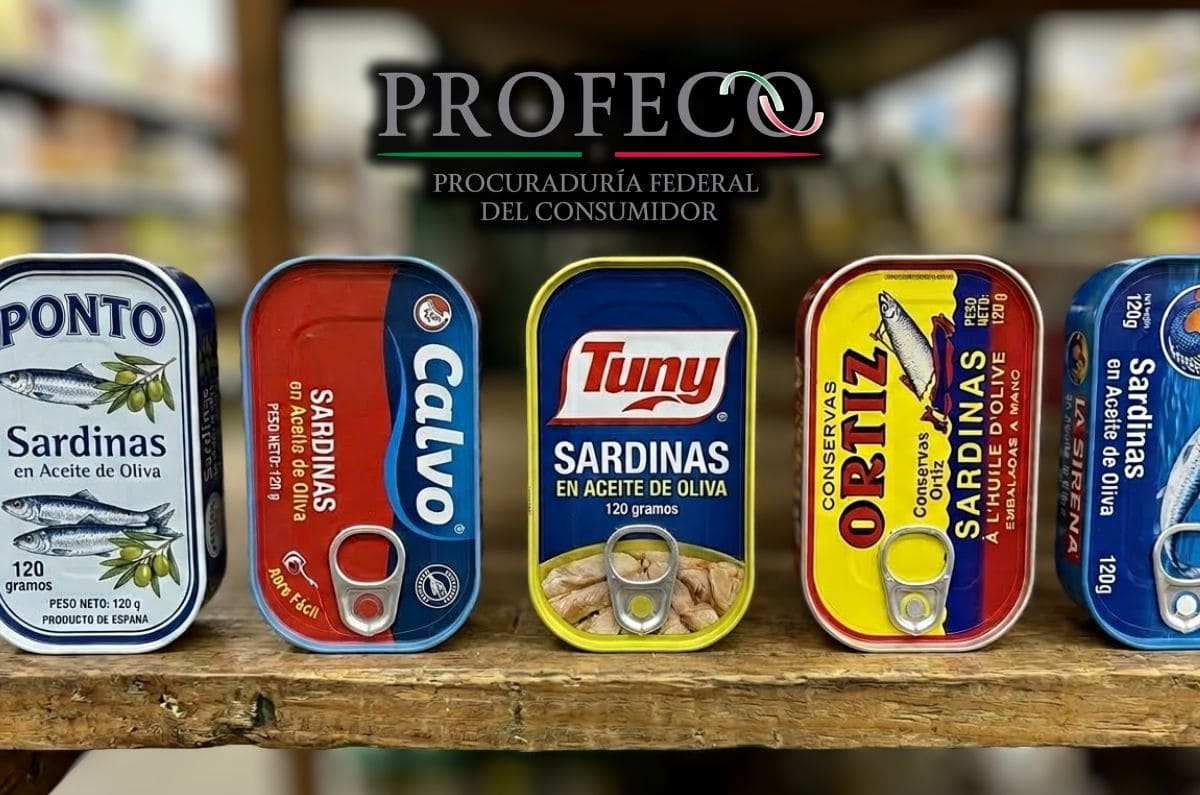 La mejor marca de sardinas en aceite de oliva según Profeco