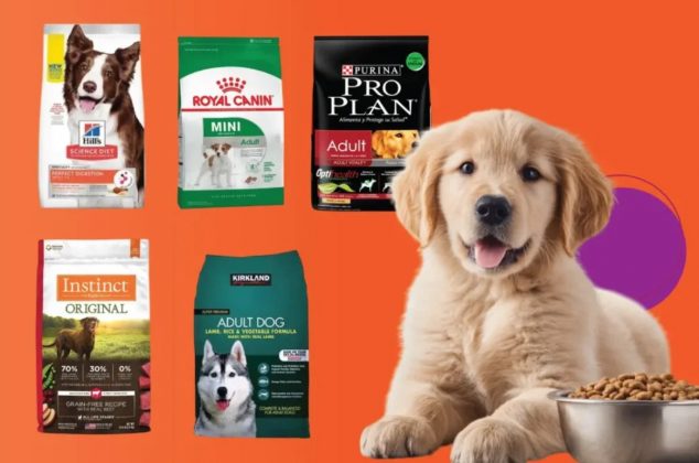 Estas son las 5 mejores croquetas premium según Profeco y que aportan vitaminas y minerales a tu perro