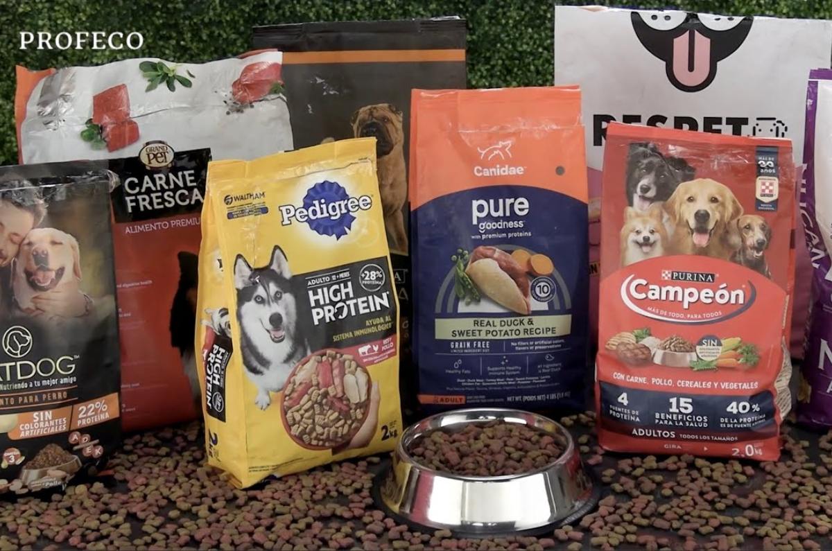 mejores croquetas premium según Profeco 