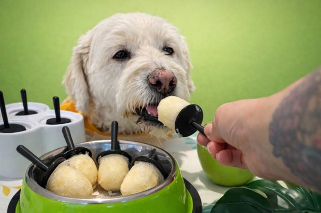 Cómo hacer paletas de manzana y yogur para consentir a tu perro