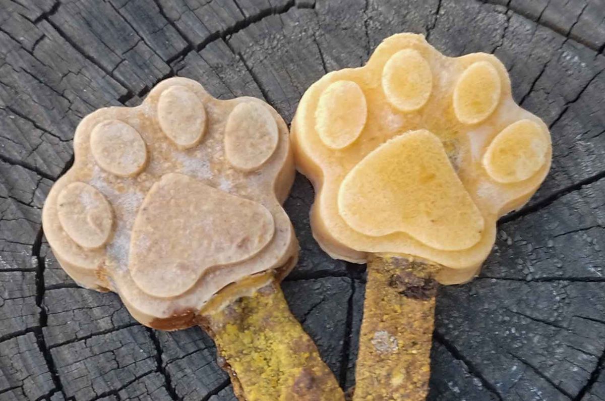 Paleta helada para perro ¡Con 2 ingredientes!