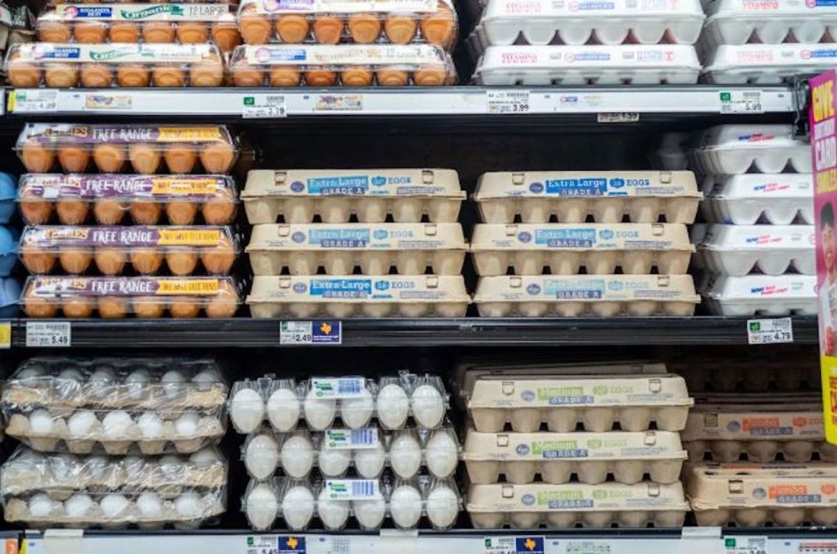 peores marcas de huevo según profeco