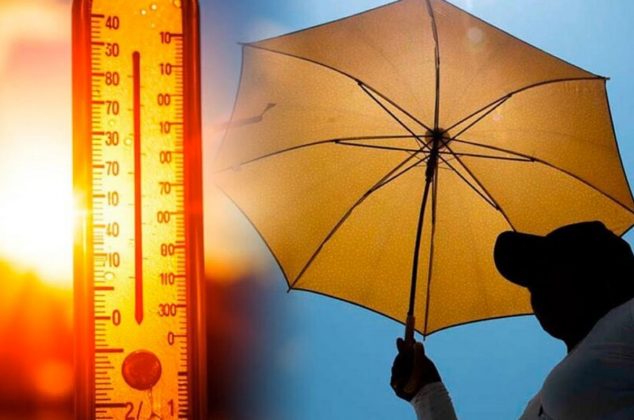 Canícula 2026: ¿Cuándo empieza y cuáles serán los estados más afectados por el calor extremo?