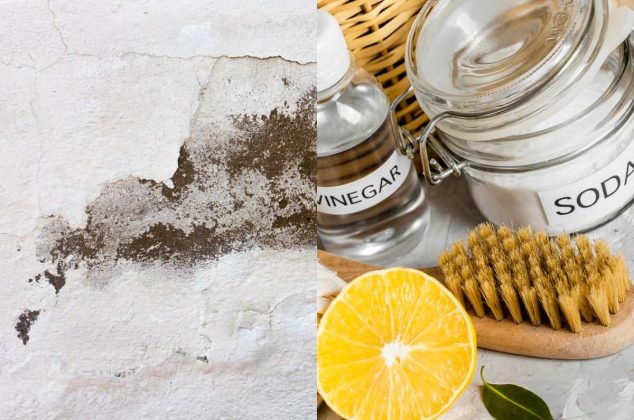 3 métodos caseros y efectivos para eliminar el olor a humedad en casa