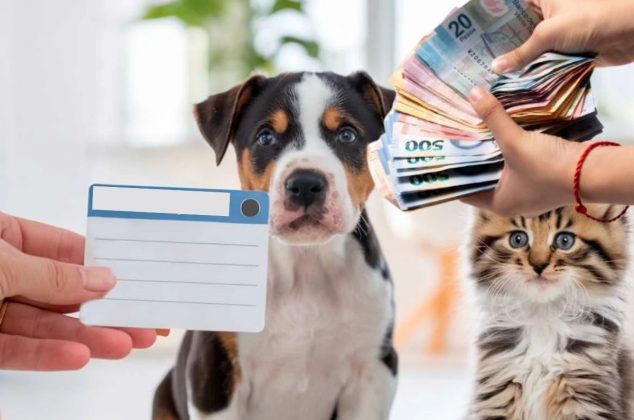 Gobierno abre nuevo registro obligatorio para mascotas 2026 y así pueden multarte si no lo haces