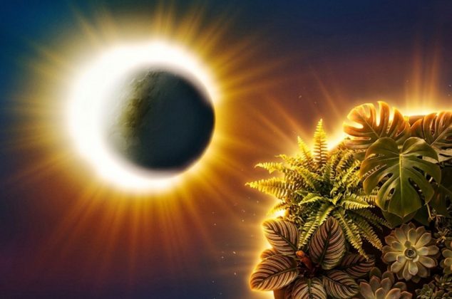 Cuándo será el eclipse solar más largo del siglo y qué hacer con tus plantas para proteger su energía
