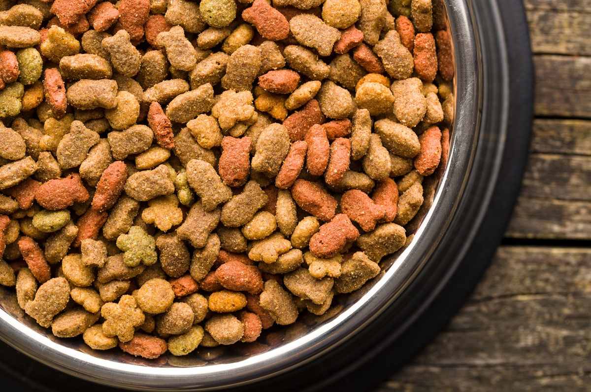 Croquetas baratas y confiables para perros