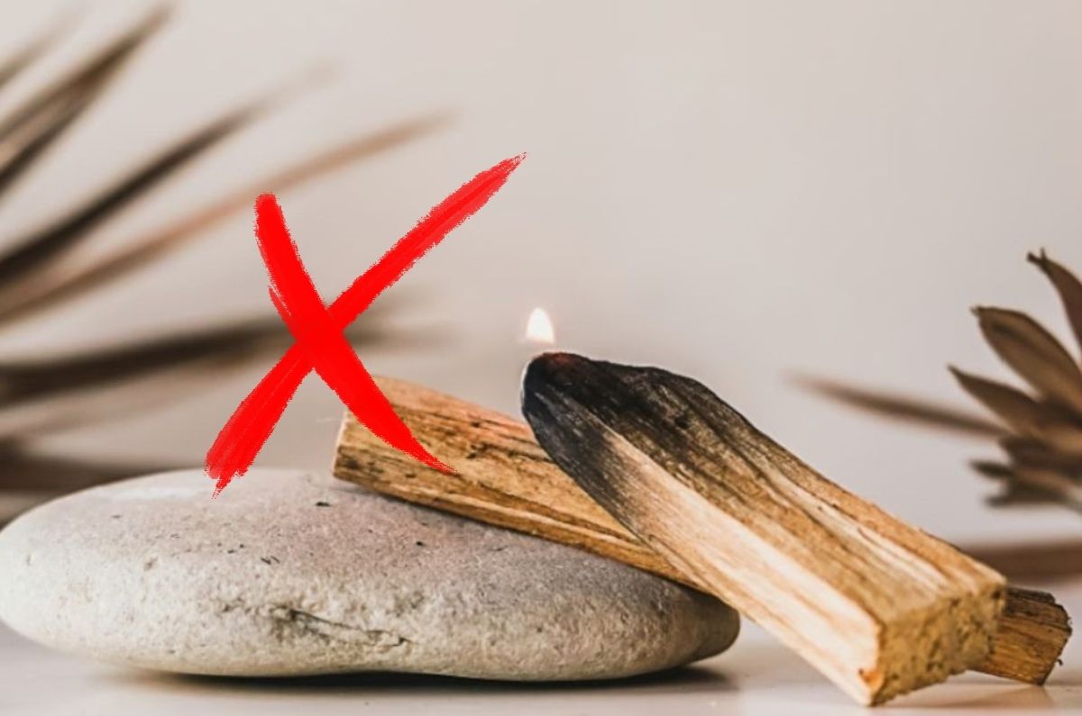 5 errores al quemar palo santo en casa que debes evitar porque alejan la abundancia