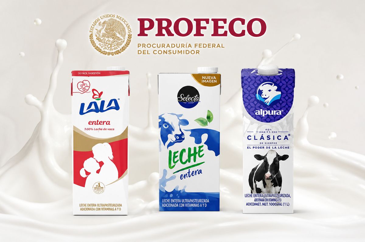 Esta es la mejor leche de vaca según Profeco: cuesta menos de $30 y tiene más vitaminas