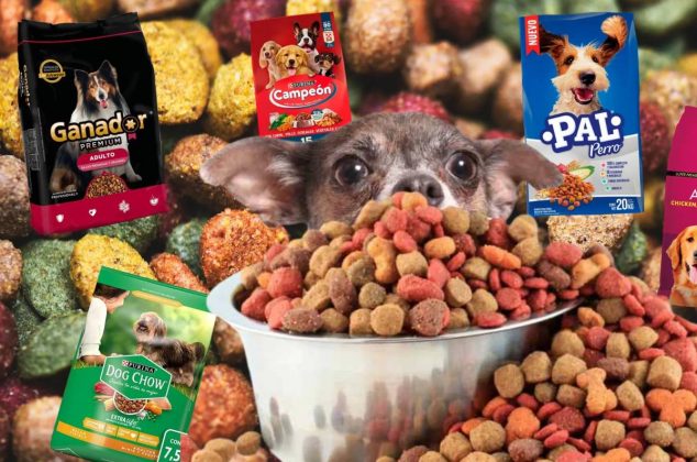 Estas son las croquetas baratas que Profeco calificó como una de las mejores opciones para tu perro
