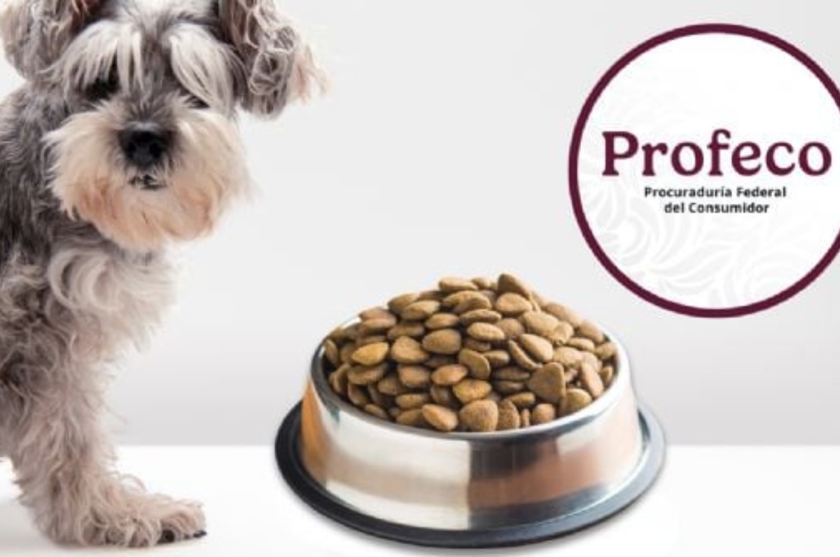 mejor marca de croquetas para perro