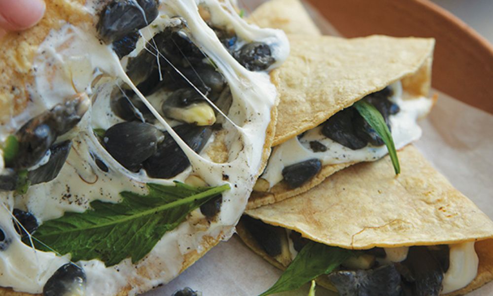 Receta de quesadillas de huitlacoche con queso