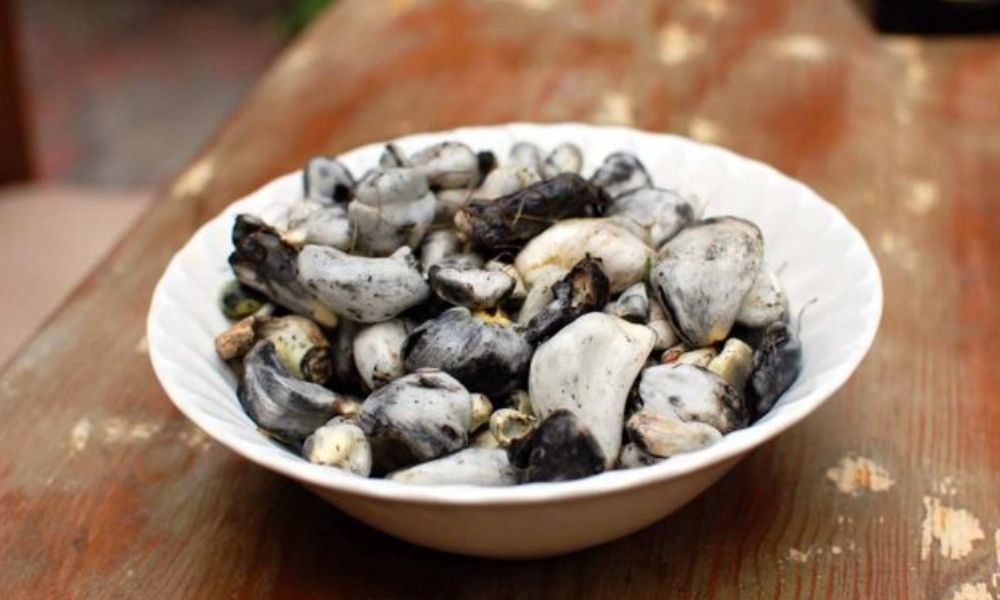 Receta mexicana de huitlacoche