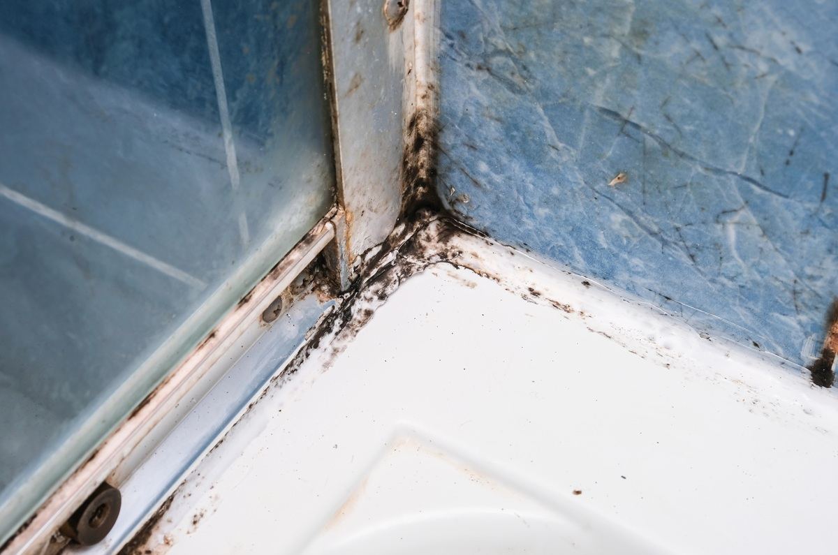 Baño sin ventanas: solución rápida contra humedad y olor