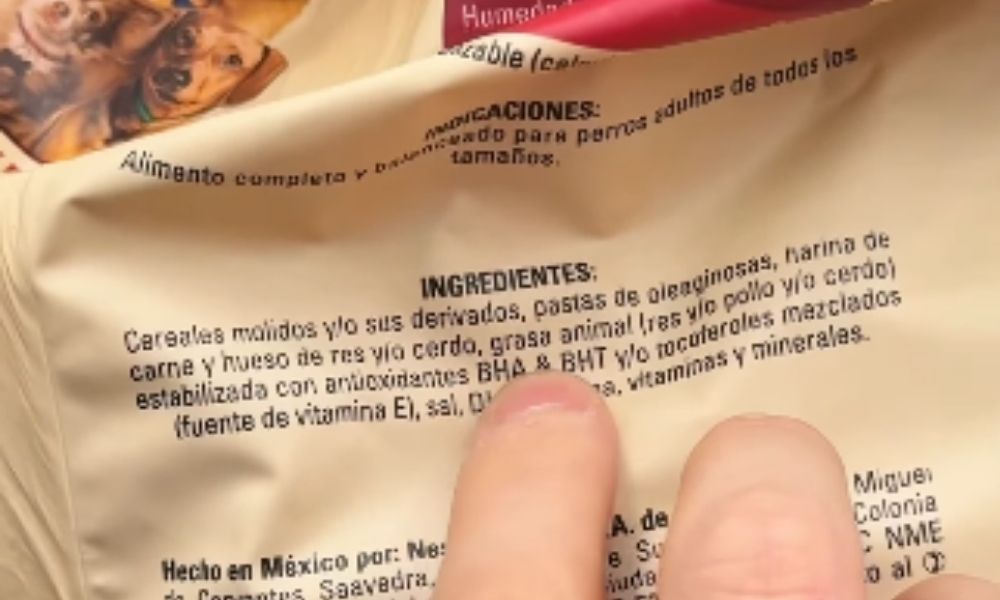 Alimentos peligrosos en croquetas para perros