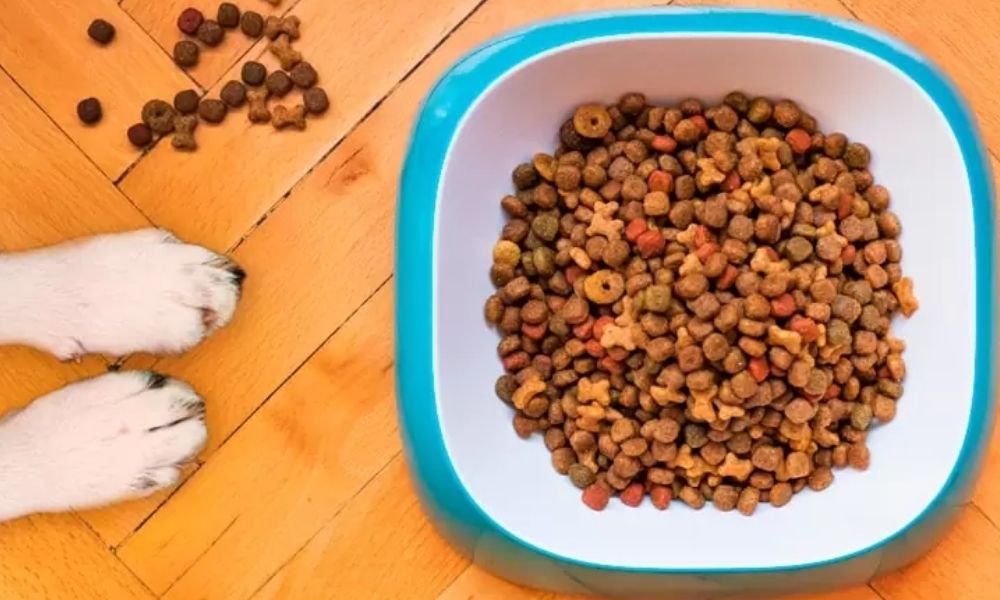 Colorante en croquetas para perro