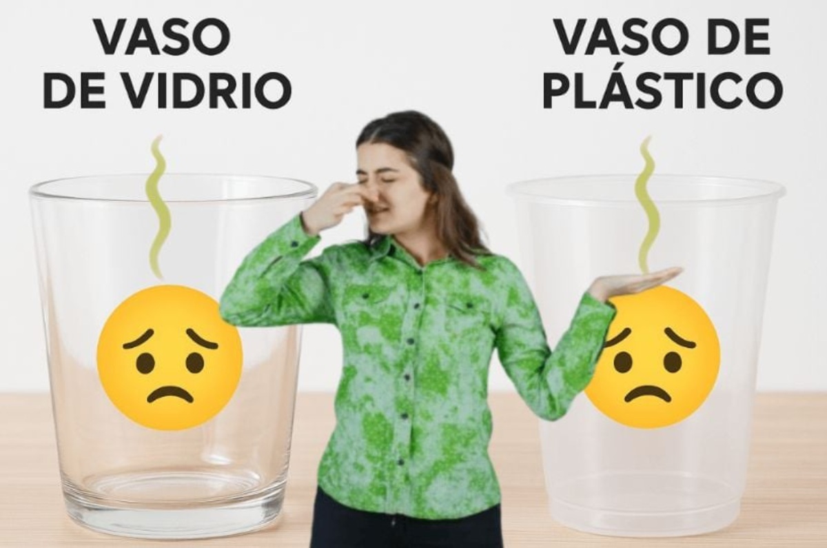 El secreto para quitar el mal olor de los vasos con una mezcla casera que sí funciona