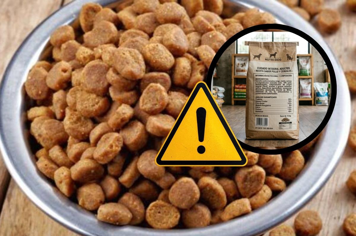 Los 5 ingredientes más peligrosos en croquetas para perro y por qué NO debes comprarlas