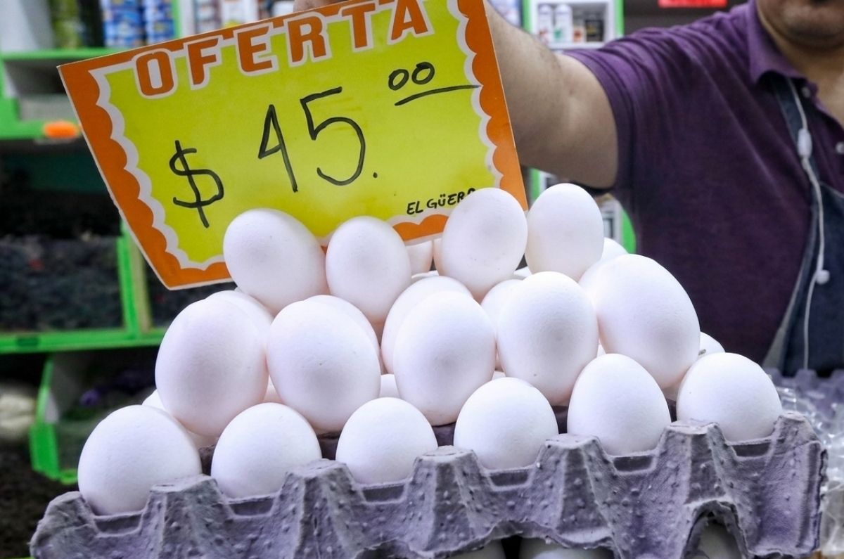 La razón por la que el huevo bajó mucho de precio y por qué está preocupando a muchos mexicanos