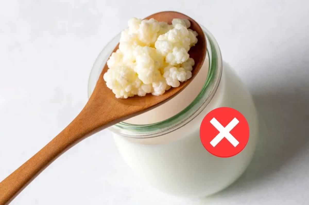Contraindicaciones de los búlgaros de leche: ¿Quiénes NO deben consumirlos y por qué?
