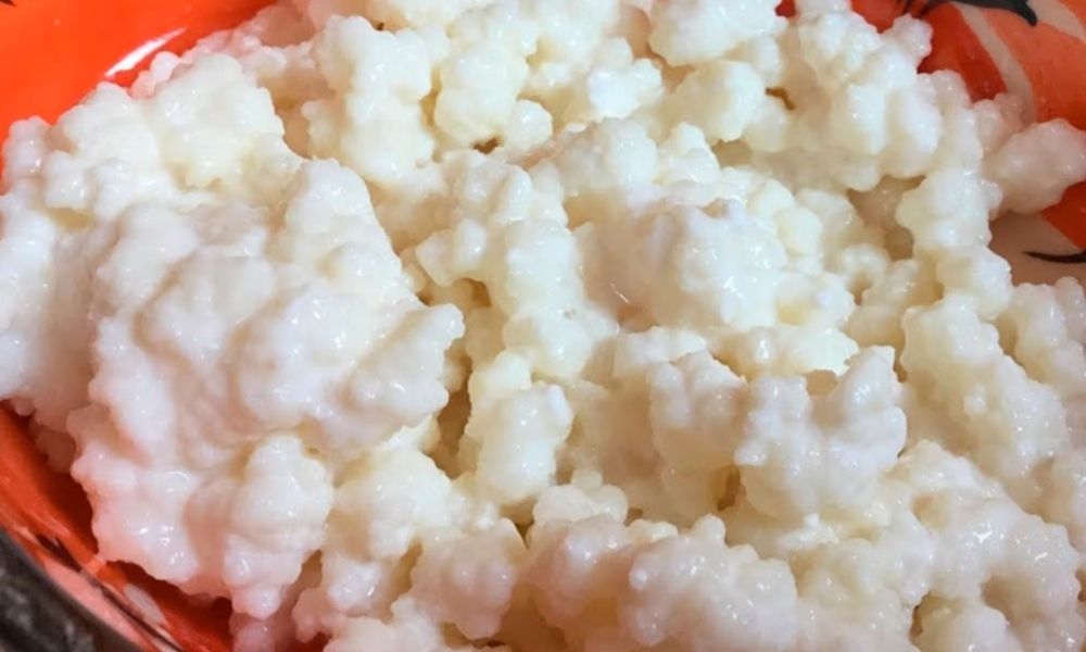 Qué son los búlgaros de leche y por qué pueden estar babosos