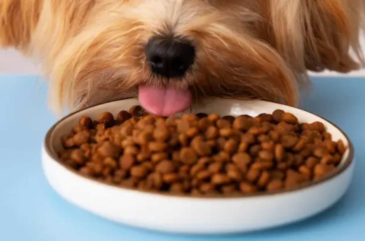 retiran alimento para perro Raaw Energy