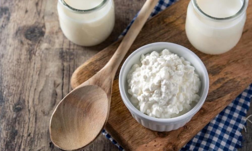 Son buenos los búlgaros de leche sí o no