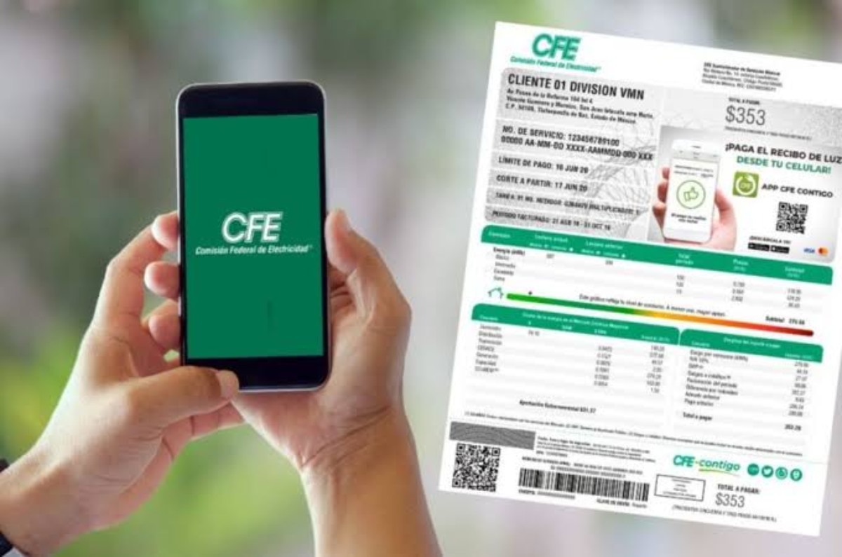 CFE apoya a adultos mayores
