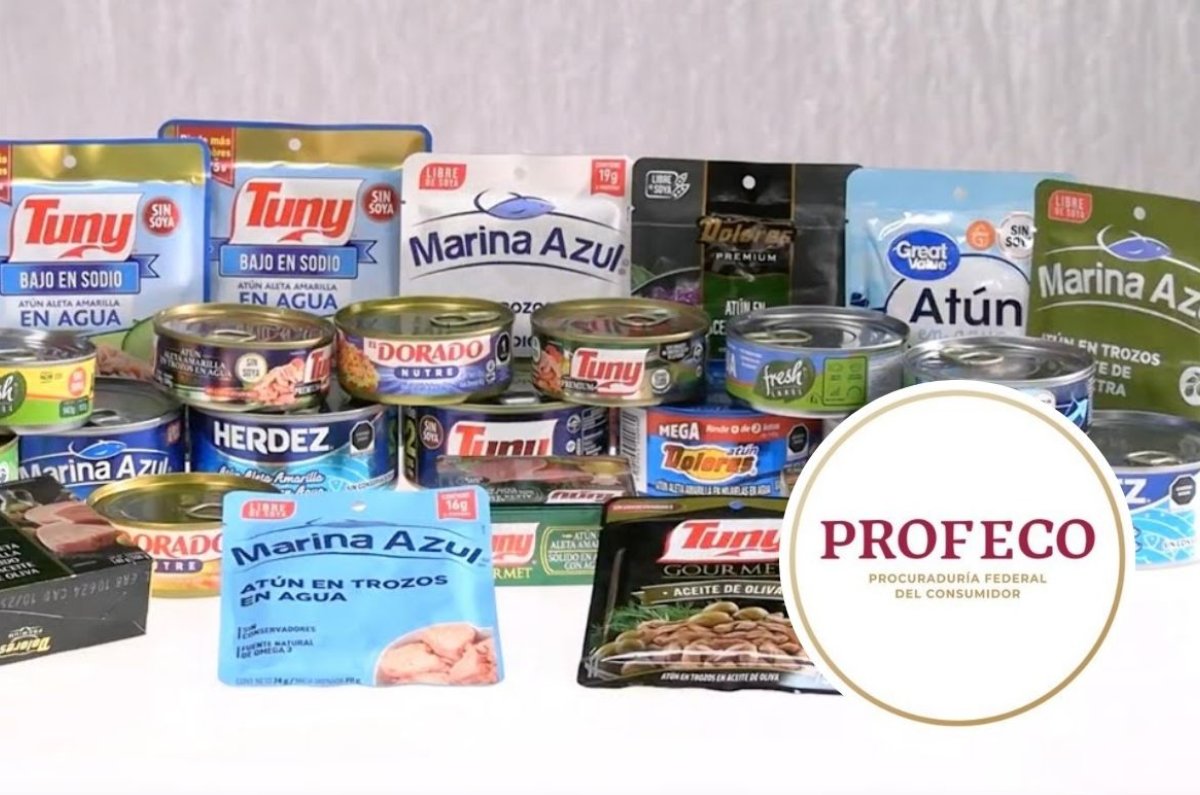 diferencia entre atún en agua y atún en aceite