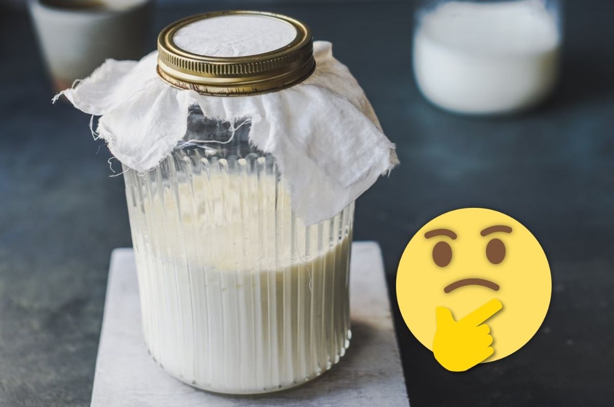 ¿Se tapan o no los búlgaros de leche? Estos son los riesgos y ventajas de hacerlo