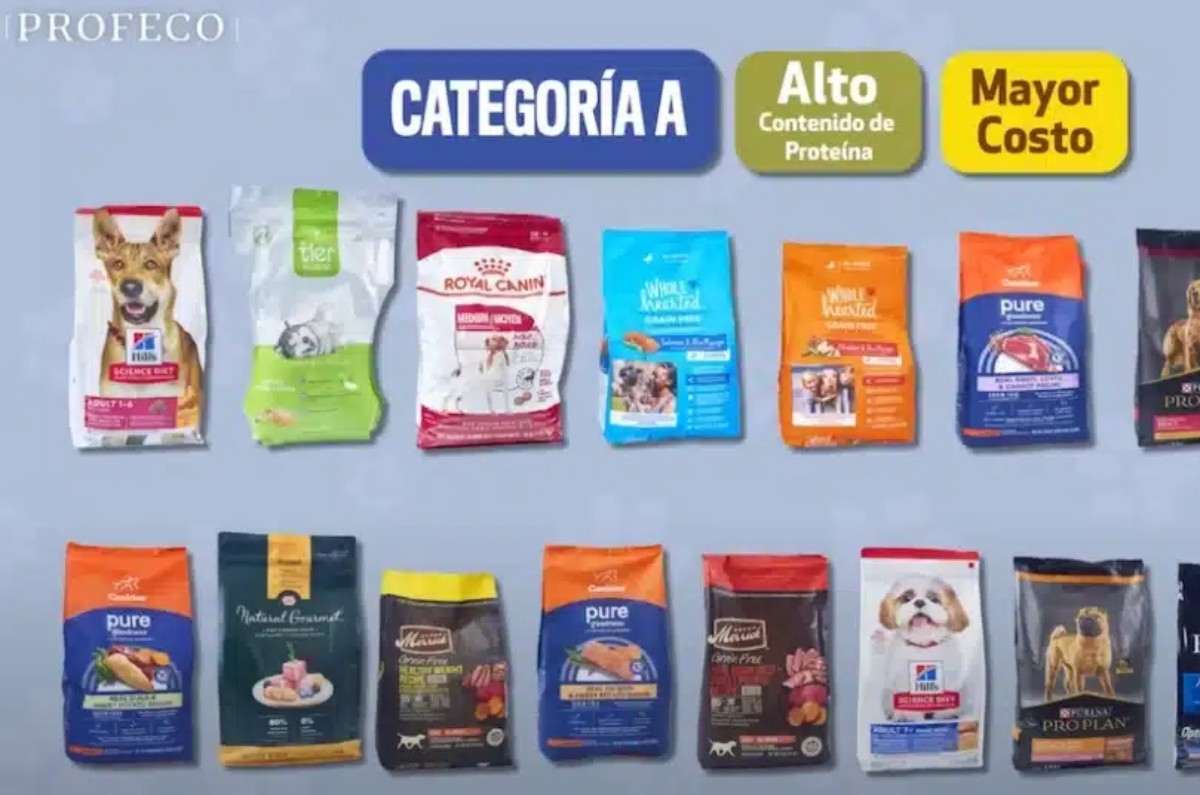 Veterinarios también recomiendan marcas como Royal Canin, Hill's Science Diet, Purina Pro Plan y Eukanuba, debido a la calidad de sus fórmulas y su respaldo científico.