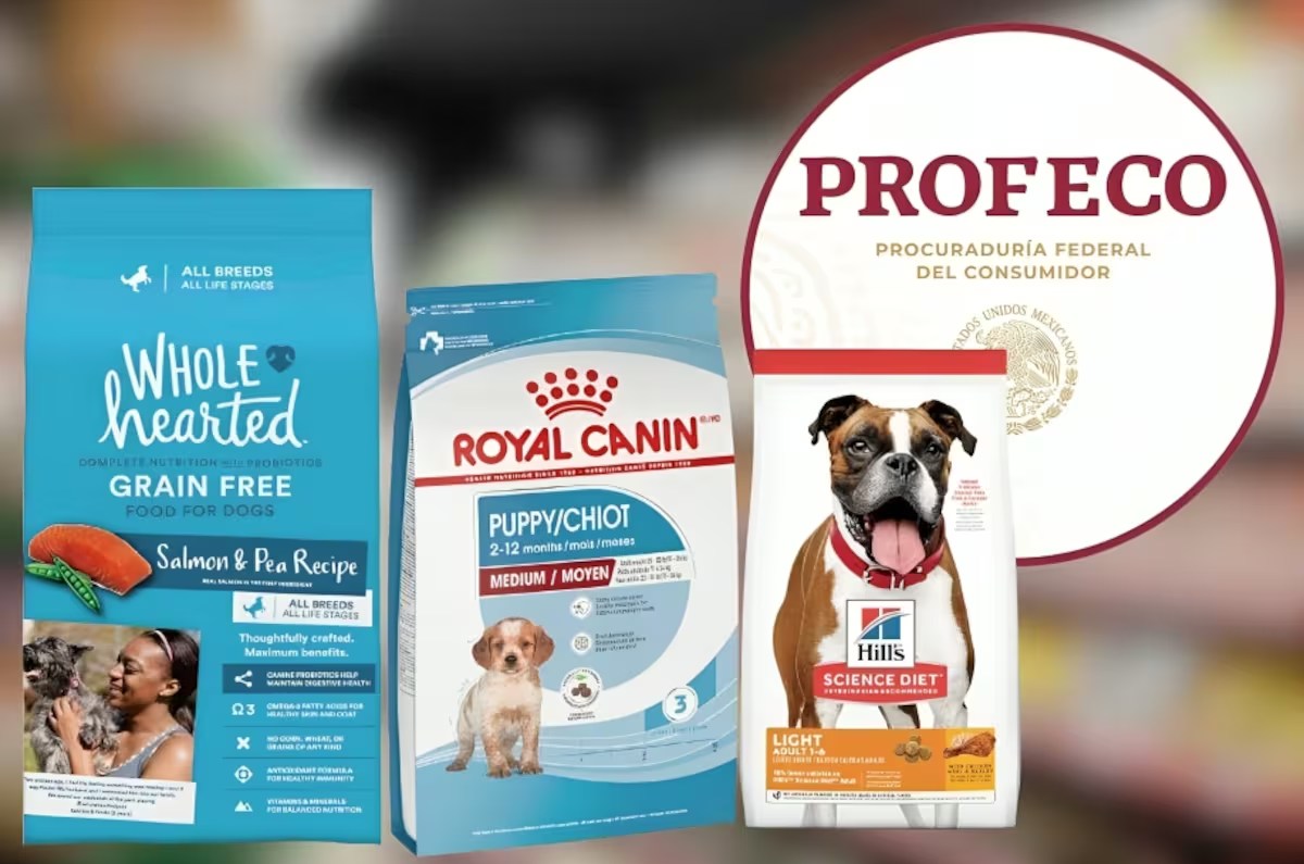 Estas son las 3 marcas de croquetas para perro más nutritivas según Profeco y que si recomienda este 2026