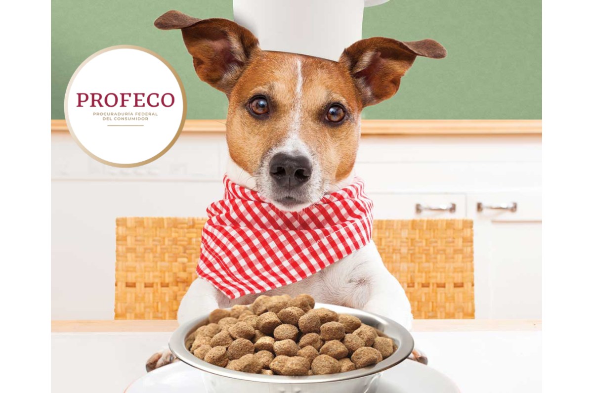 mejores marcas de croquetas para perro según Profeco