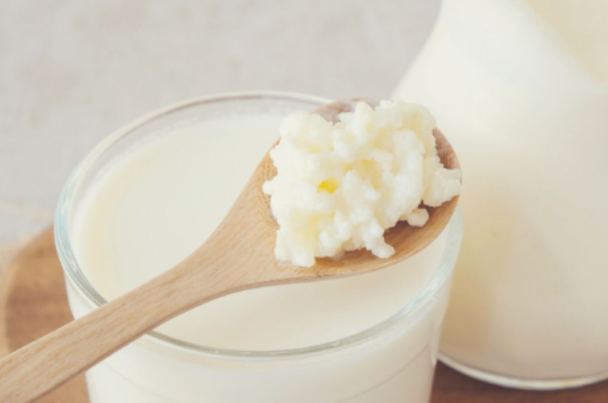 Experto desmiente 5 mitos comunes de los búlgaros de leche y cuál es su verdadero efecto en el cuerpo