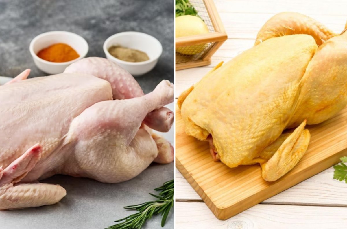 por qué el pollo es amarillo en México